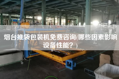 煙臺推袋包裝機免費咨詢(哪些因素影響設備性能？)