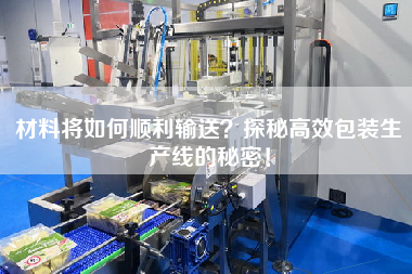材料將如何順利輸送？探秘高效包裝生產(chǎn)線的秘密！