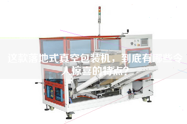 這款落地式真空包裝機(jī)，到底有哪些令人驚喜的特點(diǎn)？