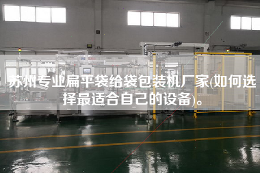 蘇州專業(yè)扁平袋給袋包裝機廠家(如何選擇z適合自己的設(shè)備)。