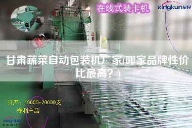 甘肅蔬菜自動包裝機廠家(哪家品牌性價比z高？)