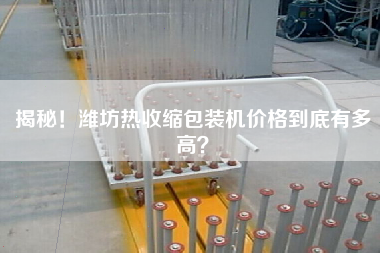 揭秘！濰坊熱收縮包裝機價格到底有多高？
