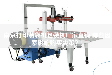 南京打印裝袋機(jī)包裝機(jī)廠家直銷(xiāo)(哪些因素影響X決策？)