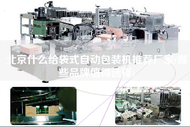 北京什么給袋式自動(dòng)包裝機(jī)推薦廠家(哪些品牌值得選擇)
