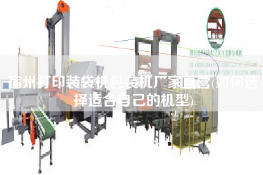 宿州打印裝袋機(jī)包裝機(jī)廠家直營(yíng)(如何選擇適合自己的機(jī)型)