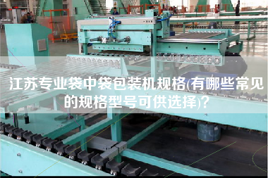 江蘇專業(yè)袋中袋包裝機(jī)規(guī)格(有哪些常見的規(guī)格型號(hào)可供選擇)？
