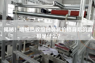 揭秘！墻紙熱收縮包裝機(jī)價(jià)格背后的真相是什么？