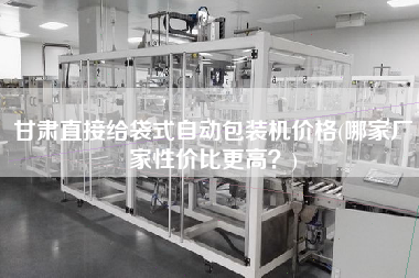 甘肅直接給袋式自動包裝機價格(哪家廠家性價比z高？)
