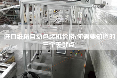 進口紙箱自動包裝機價格(你需要知道的三個關(guān)鍵點)