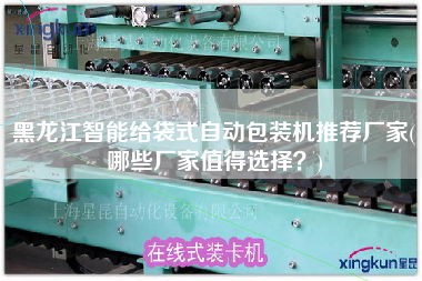 黑龍江智能給袋式自動包裝機推薦廠家(哪些廠家值得選擇？)