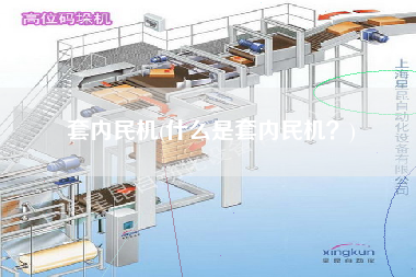 套內(nèi)民機(什么是套內(nèi)民機？)