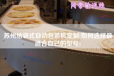 蘇州給袋式自動包裝機(jī)定制(如何選擇z適合自己的型號)