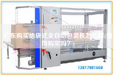 廣東X給袋式全自動包裝機怎么樣(值得X嗎？)