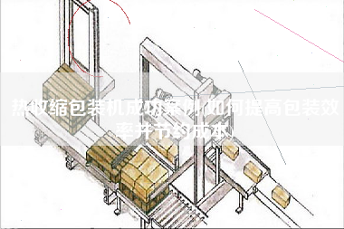 熱收縮包裝機成功案例(如何提高包裝效率并節(jié)約成本)