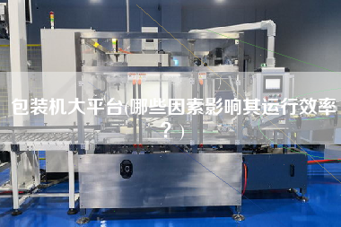 包裝機大平臺(哪些因素影響其運行效率？)