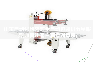 山東自動化給袋式全自動包裝機(jī)五星服務(wù)(如何讓客戶滿意到爆表)