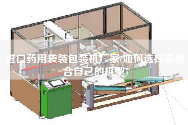 進(jìn)口藥用袋裝包裝機(jī)廠家(如何選擇z適合自己的機(jī)型)