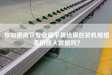 你知道南京專業(yè)扁平袋給袋包裝機(jī)規(guī)格表的驚人數(shù)據(jù)嗎？