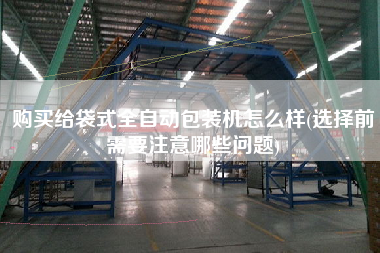 X給袋式全自動包裝機(jī)怎么樣(選擇前需要注意哪些問題)
