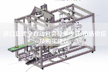 進(jìn)口立式全自動包裝機(jī)多少錢(市場價位及X建議)