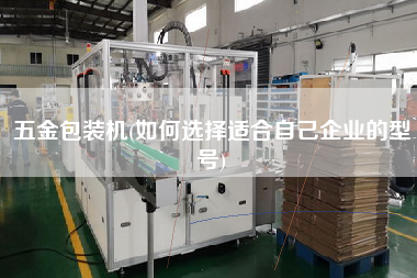 五金包裝機(jī)(如何選擇適合自己企業(yè)的型號(hào))