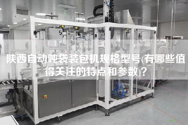 陜西自動噸袋裝包機規(guī)格型號(有哪些值得關(guān)注的特點和參數(shù))？