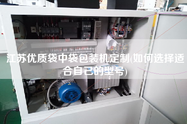江蘇優(yōu)質(zhì)袋中袋包裝機(jī)定制(如何選擇適合自己的型號(hào))