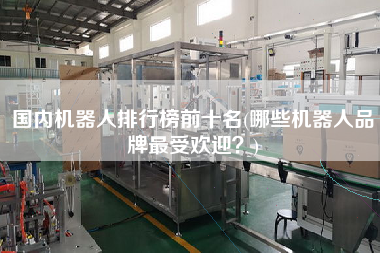 國內(nèi)機(jī)器人排行榜前十名(哪些機(jī)器人品牌z受歡迎？)