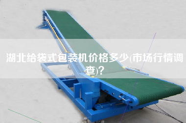 湖北給袋式包裝機(jī)價(jià)格多少(市場(chǎng)行情調(diào)查)？