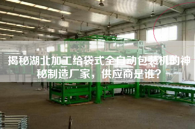 揭秘湖北加工給袋式全自動(dòng)包裝機(jī)的神秘制造廠家，供應(yīng)商是誰？