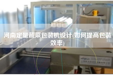 河南定量蔬菜包裝機(jī)設(shè)計(jì)(如何提高包裝效率)