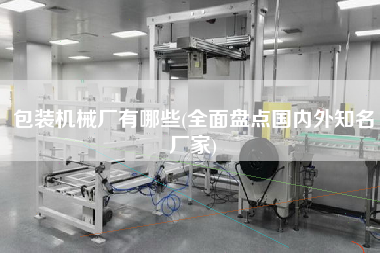 包裝機械廠有哪些(全面盤點國內(nèi)外知名廠家)