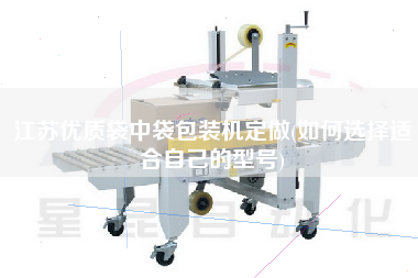 江蘇優(yōu)質(zhì)袋中袋包裝機(jī)定做(如何選擇適合自己的型號(hào))