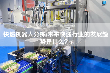 快遞機(jī)器人分揀(未來(lái)快遞行業(yè)的發(fā)展趨勢(shì)是什么？)