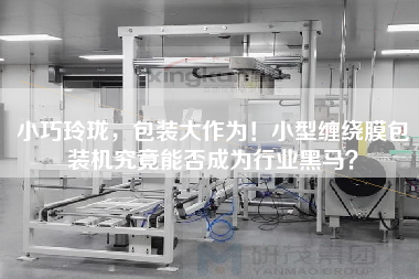 X，包裝大作為！小型纏繞膜包裝機(jī)究竟能否成為行業(yè)黑馬？