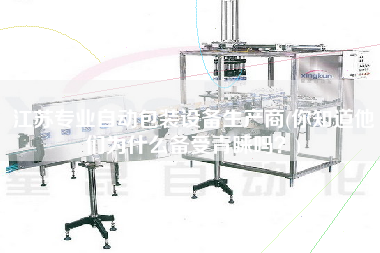 江蘇專業(yè)自動包裝設(shè)備生產(chǎn)商(你知道他們?yōu)槭裁磦涫芮嗖A嗎？)