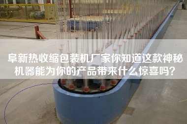 阜新熱收縮包裝機(jī)廠家你知道這款神秘機(jī)器能為你的產(chǎn)品帶來什么驚喜嗎？