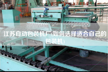 江蘇自動包裝機(jī)廠(如何選擇適合自己的包裝機(jī))