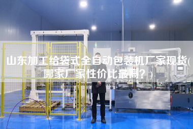 山東加工給袋式全自動包裝機廠家現貨(哪家廠家性價比z高？)