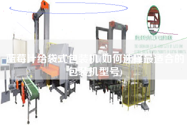 藍(lán)莓汁給袋式包裝機(jī)(如何選擇z適合的包裝機(jī)型號)